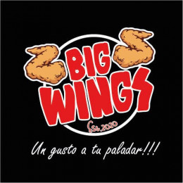 Logo-Big-wings-Vallegrande